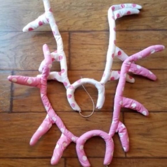 PINK Victoria's Secret Other - ISO Victoria’s Secret PINK antlers